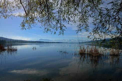 Ticket Rundfahrt Hallwilersee
