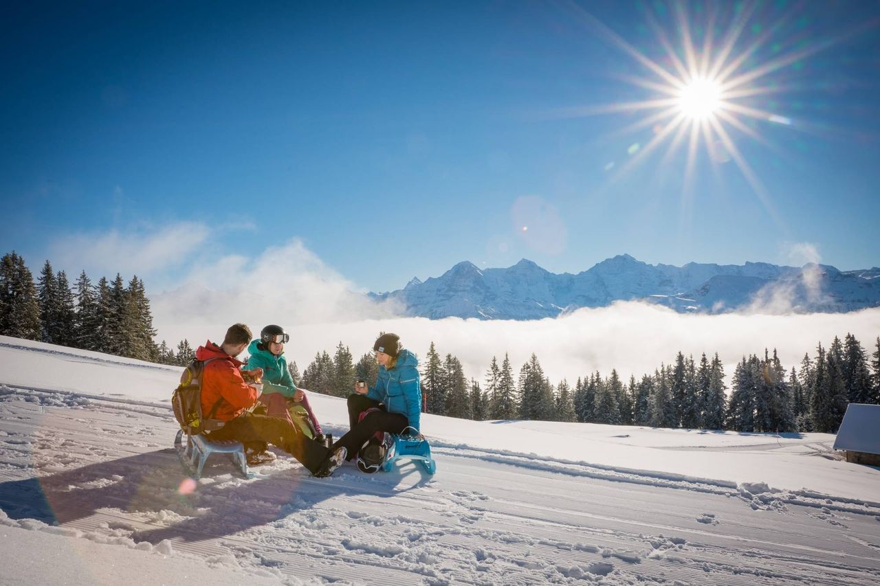 Niederhorn Schlitteln Tageskarte inkl. Schlittenmiete Ticket ab Interlaken