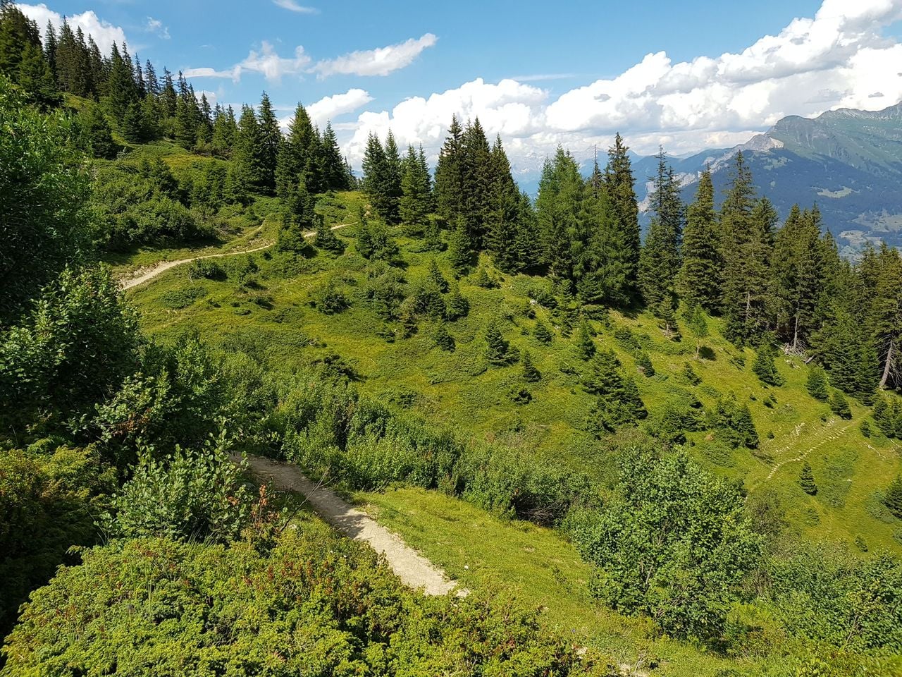 Selbstgeführte Genusswanderung von Brambrüesch nach Pradaschier
