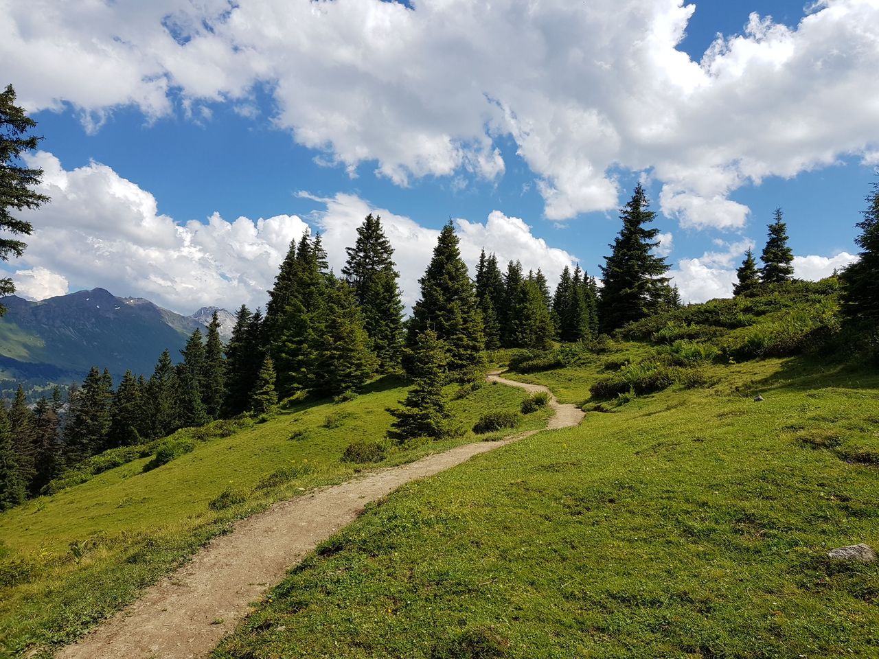 Selbstgeführte Genusswanderung von Brambrüesch nach Pradaschier