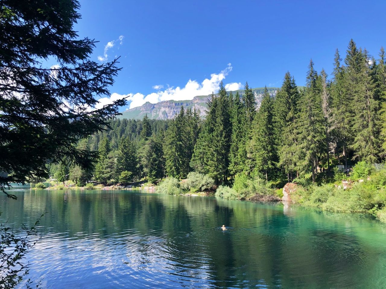 Kulinarische Wanderung “Wald und Wasser” ab Flims