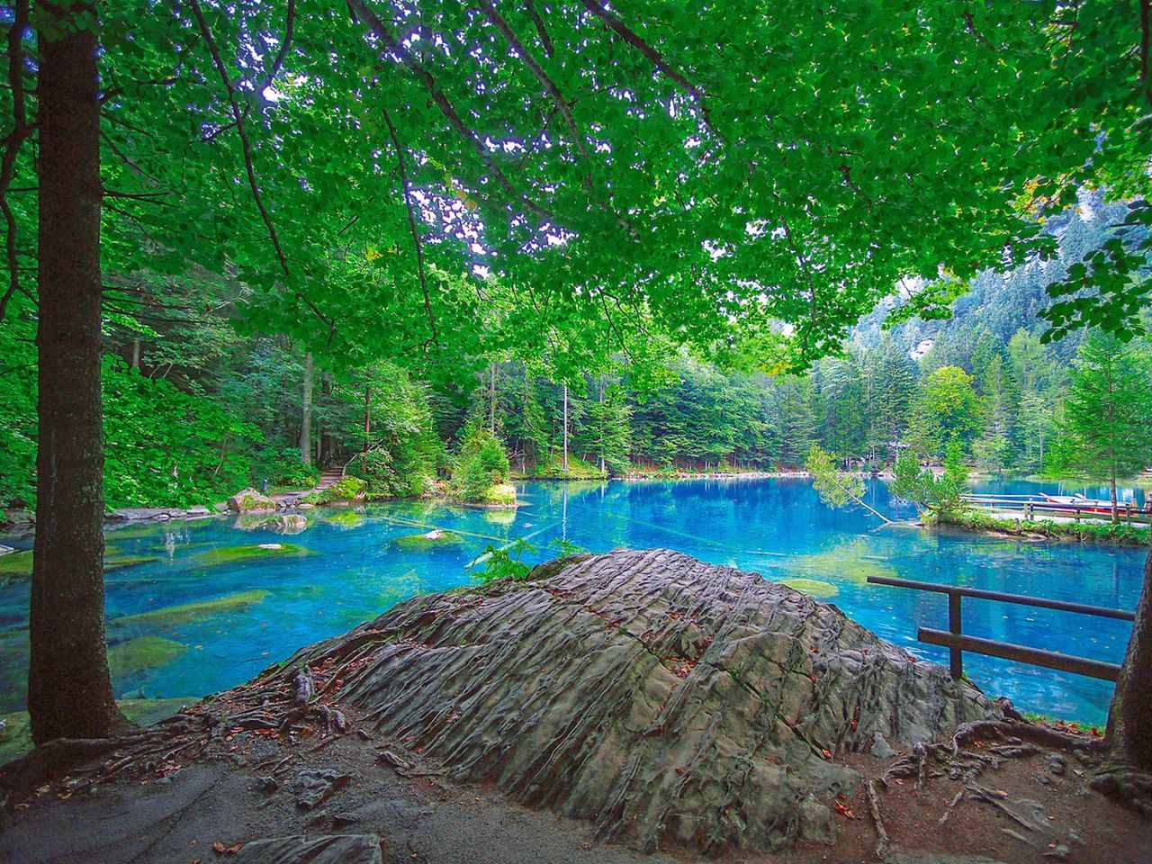 Evening Entry Ticket Blausee