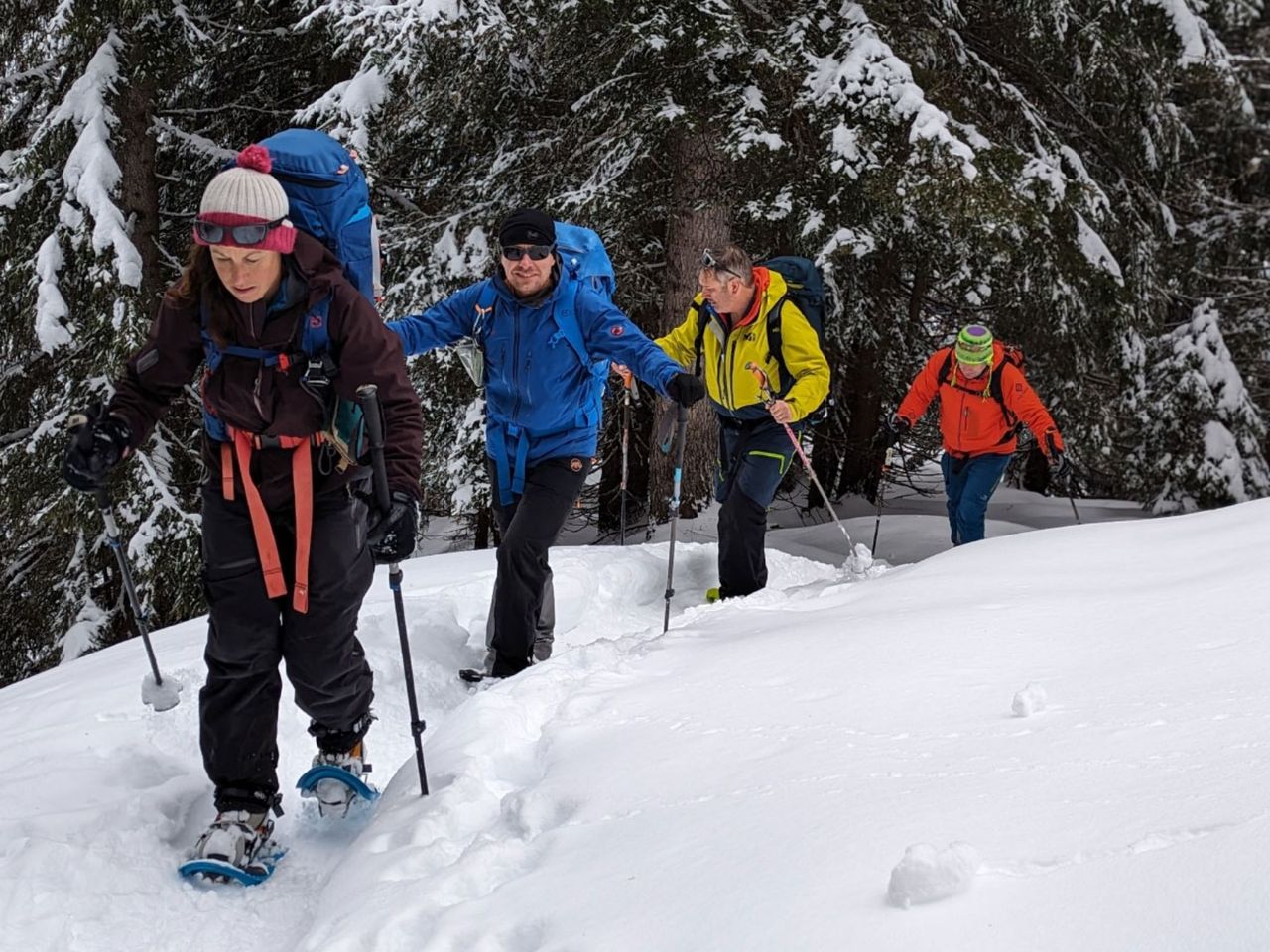 Snowshoe Tour Group Champéry