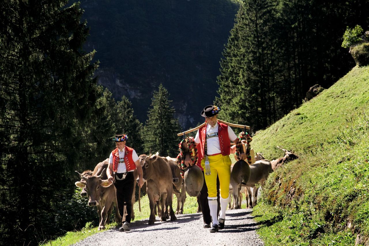 Alpabzug