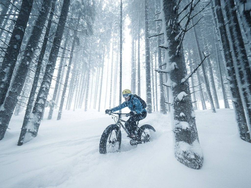 Davos Fatbike Schnee Wald