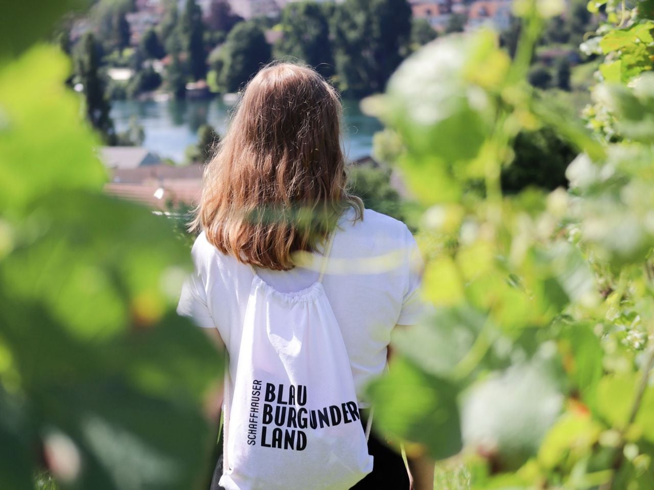 Weinwanderung Stein am Rhein selbstgeführt