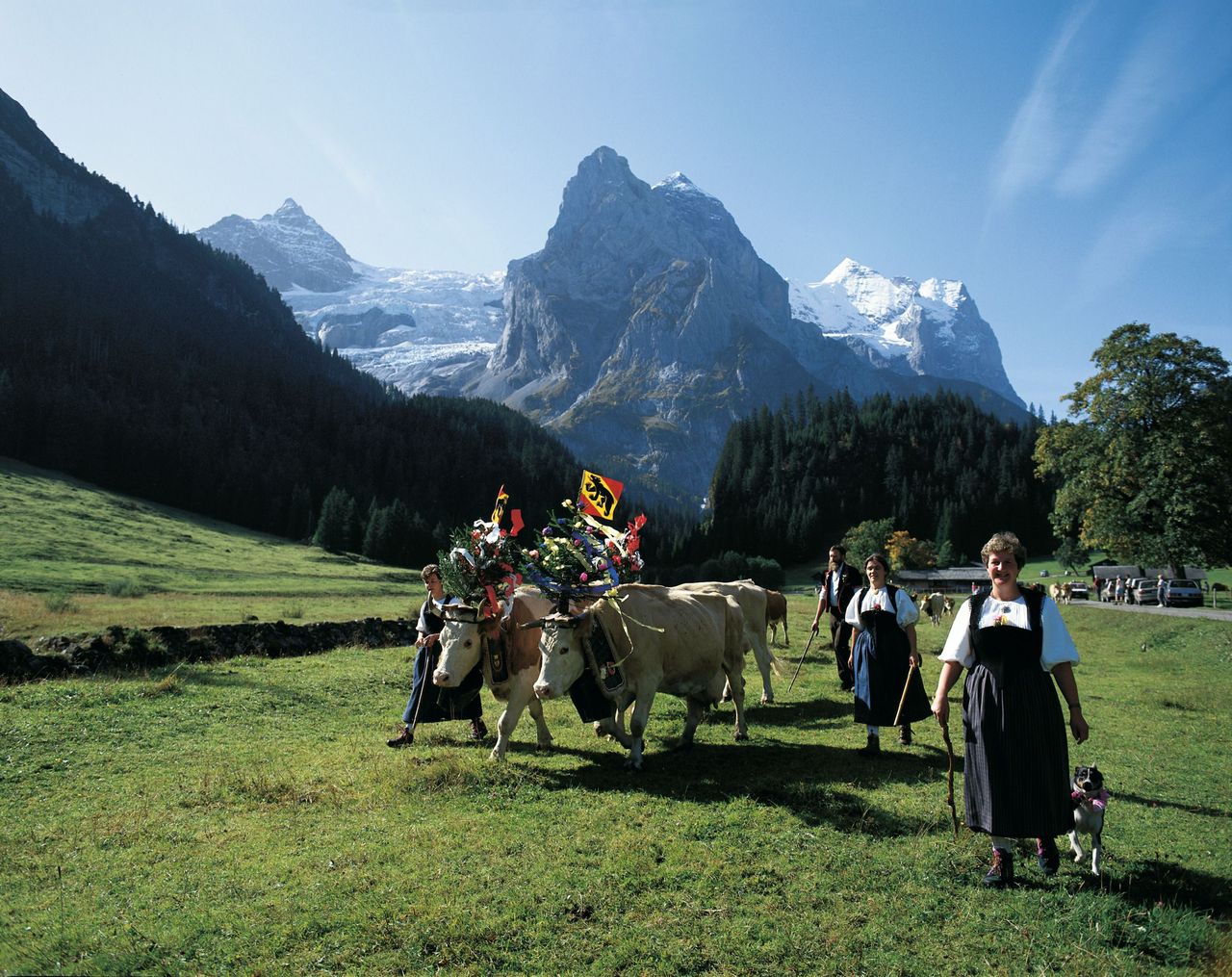 Alpabzug