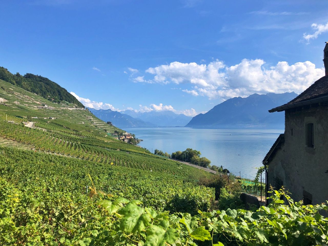 Bahnticket zwischen Lausanne und Montreux  