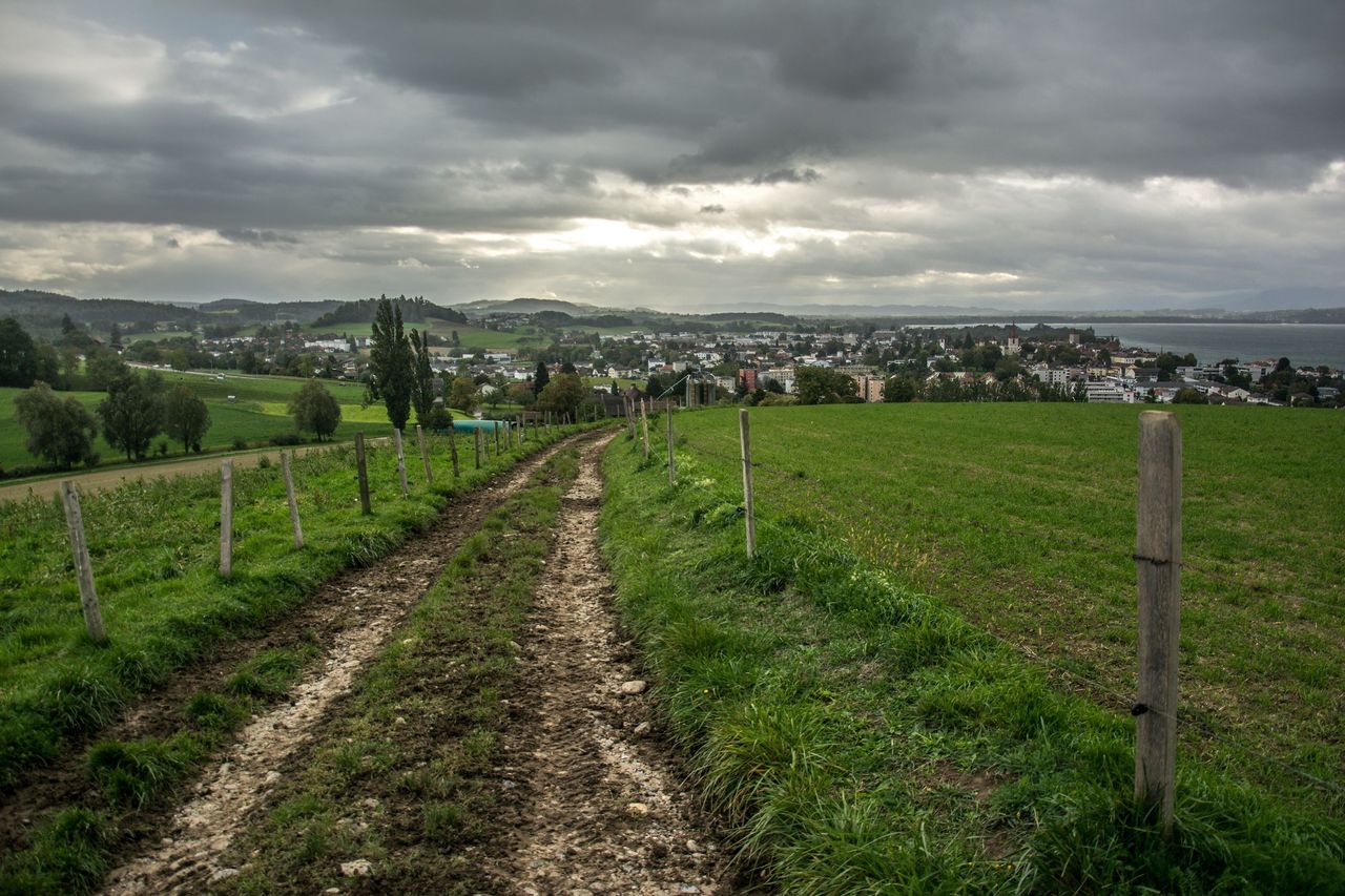 Feldweg Murten