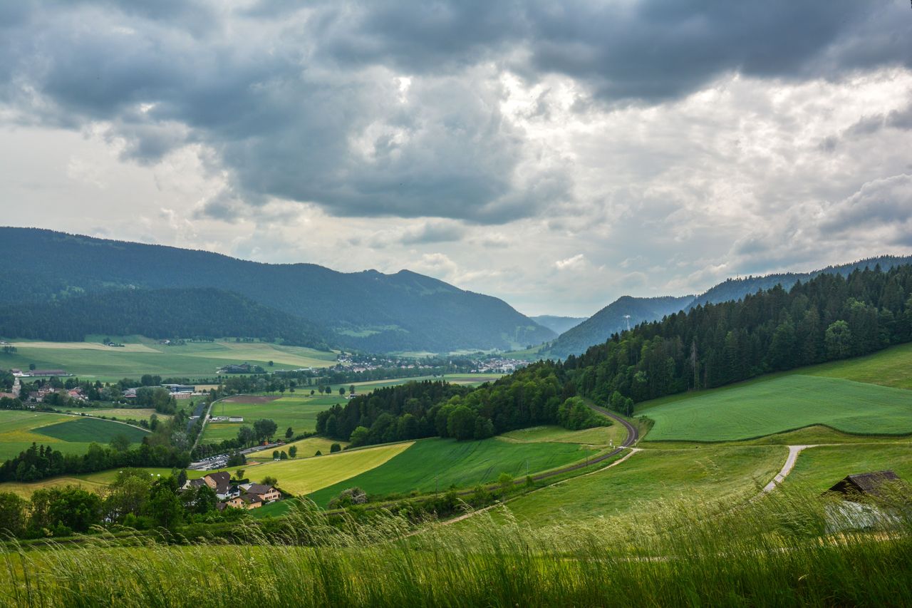 Wiesenlandschaft Neuenburg