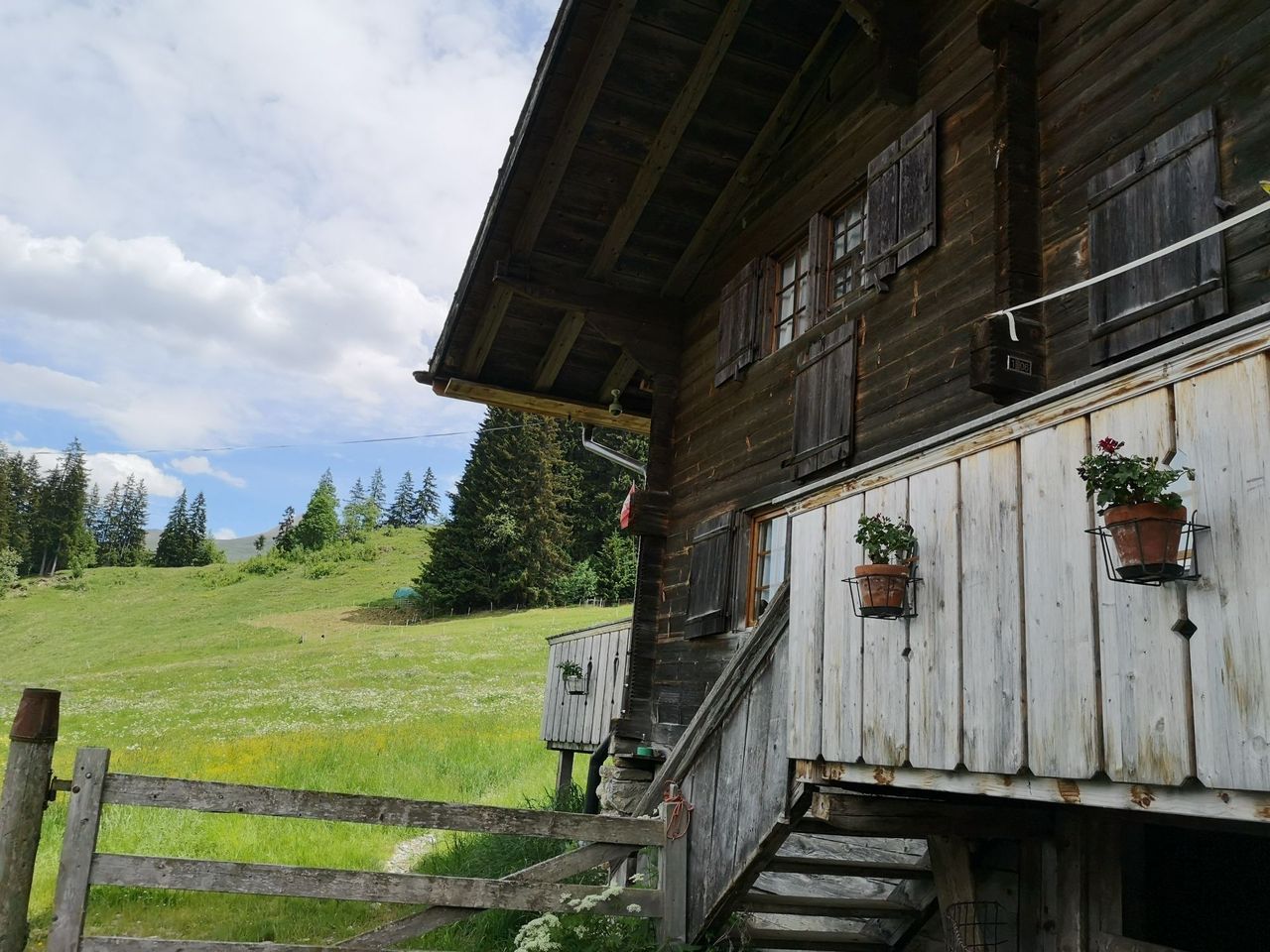 Privates Alp Erlebnis mit Käsedegustation in Adelboden