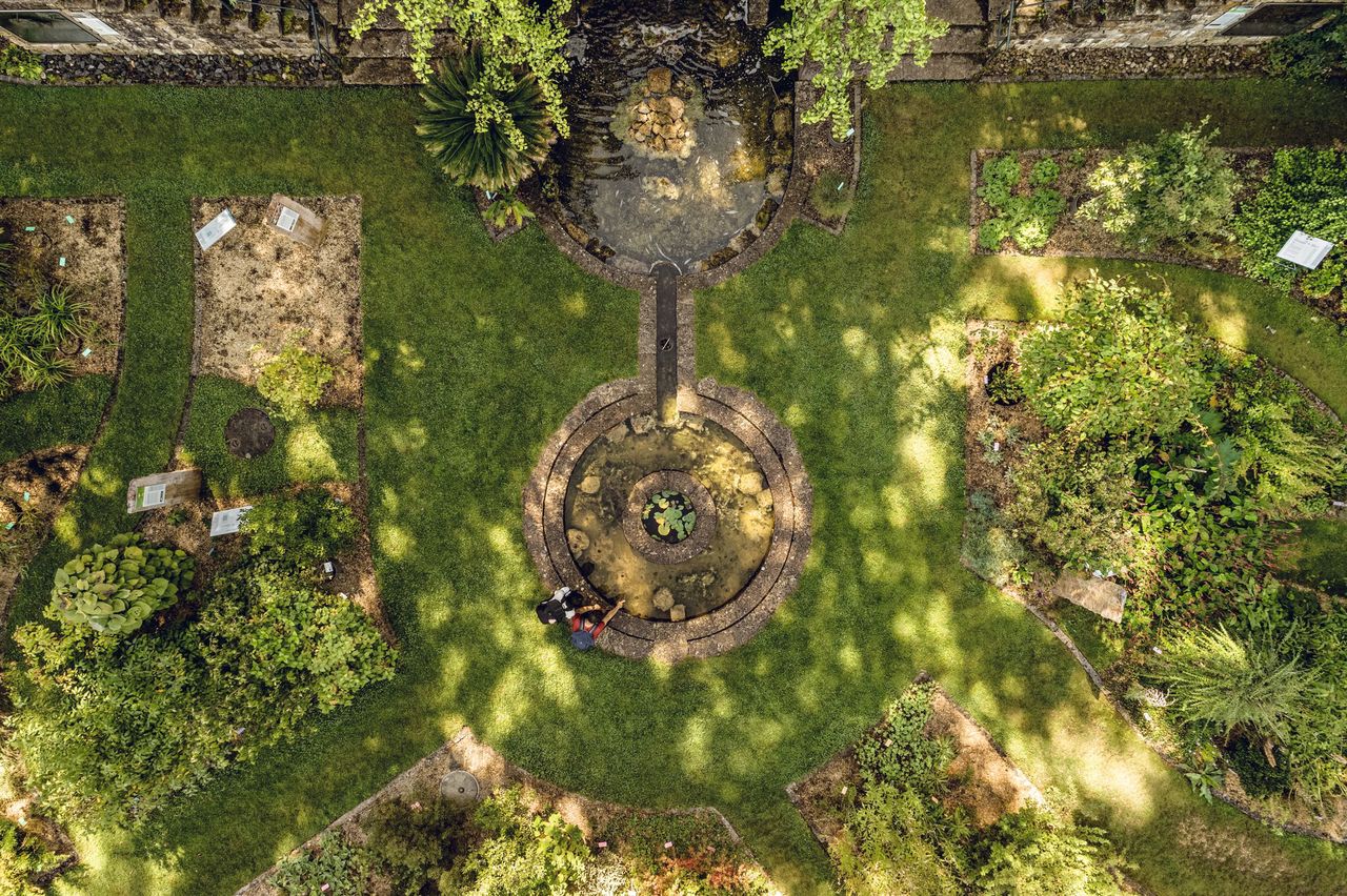 Botanischer Garten