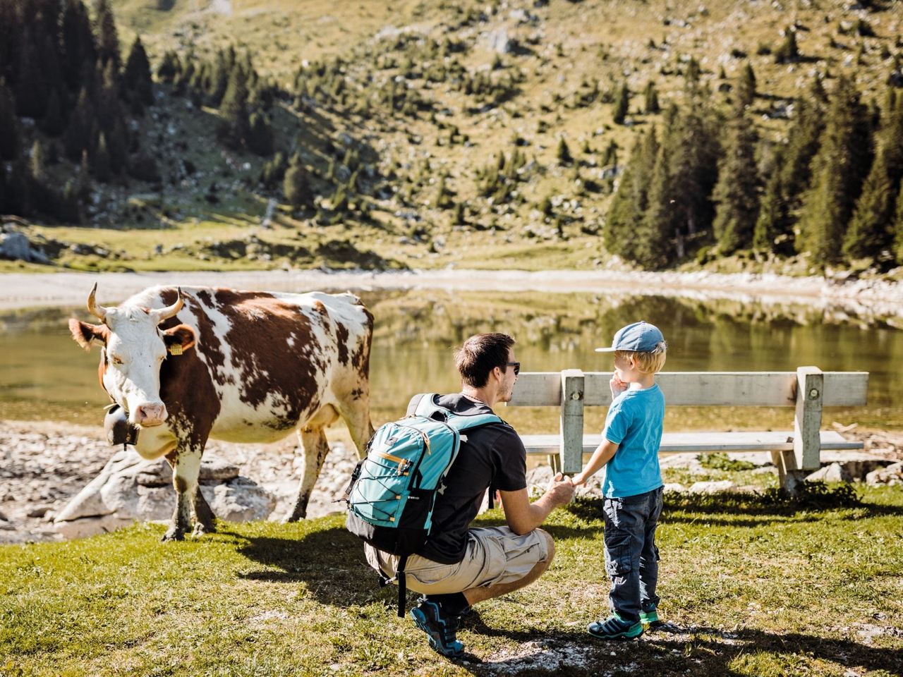 Naturpark Gantrisch See Kuh Familie