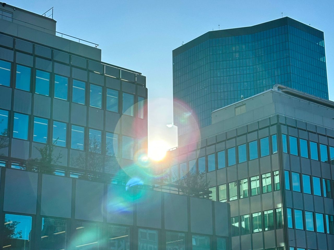 Smartphone Fotokurs für Anfänger in Zürich