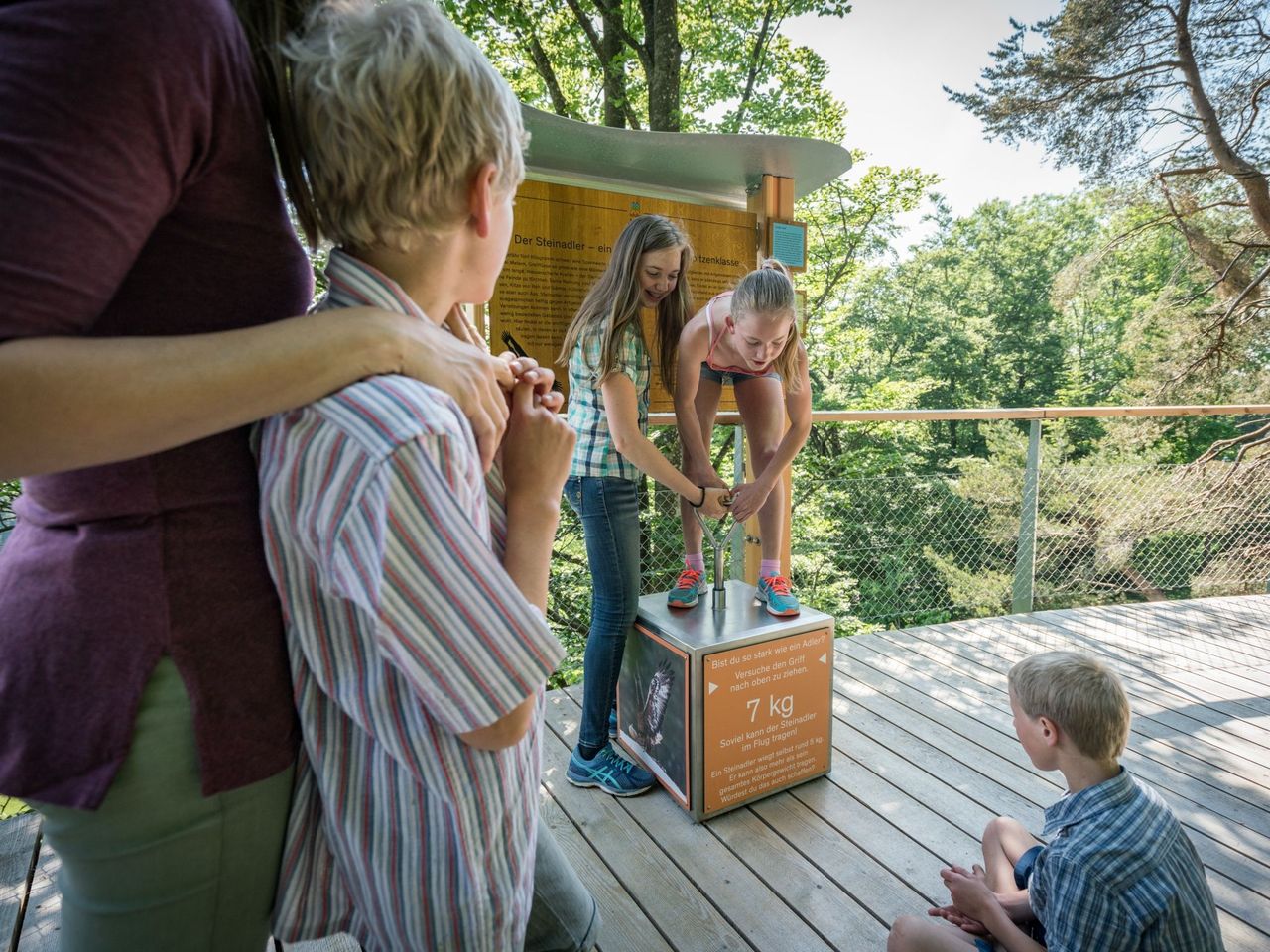Ticket Baumwipfelpfad Neckertal im Toggenburg