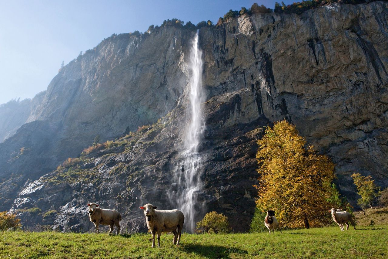 Lauterbrunnen Wasserfall