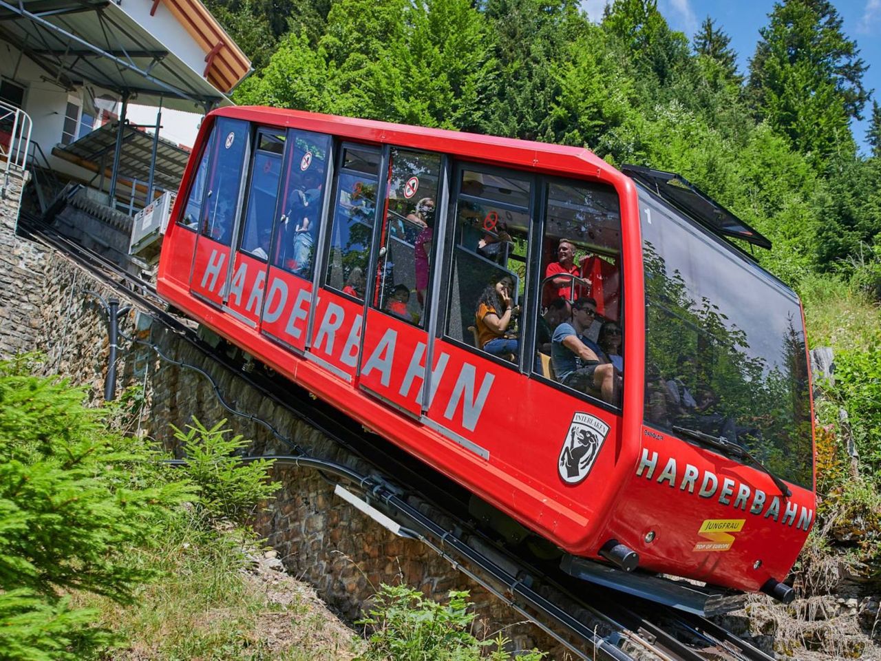 Ab Zürich: Private Tagestour nach Interlaken und Grindelwald