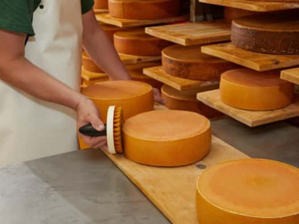Ab Zürich: Zugtour mit Schweizer Schokoladen-, Käse- und Keksdegustation