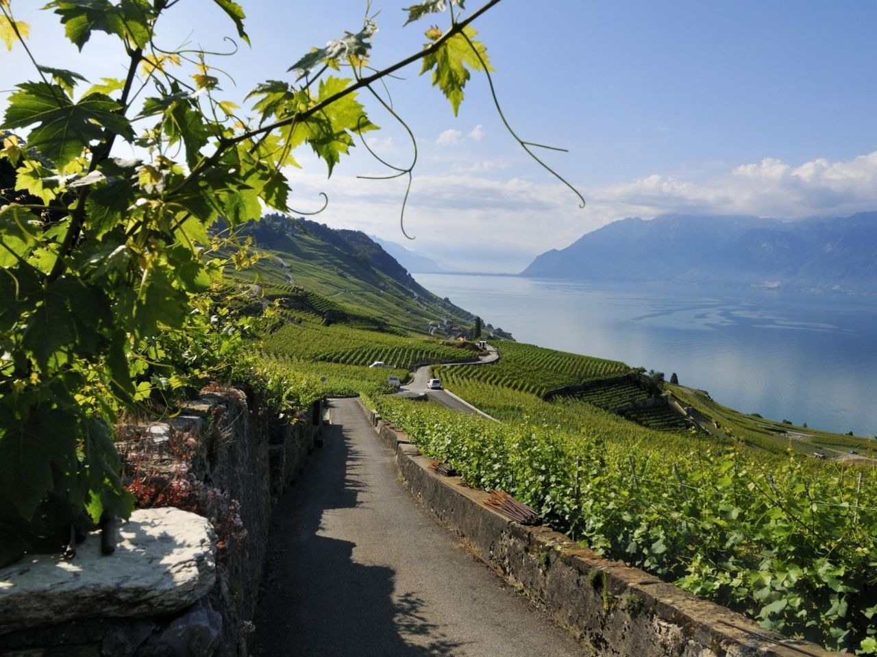 Geführter Ausflug ins Lavaux Weingebiet ab Lausanne