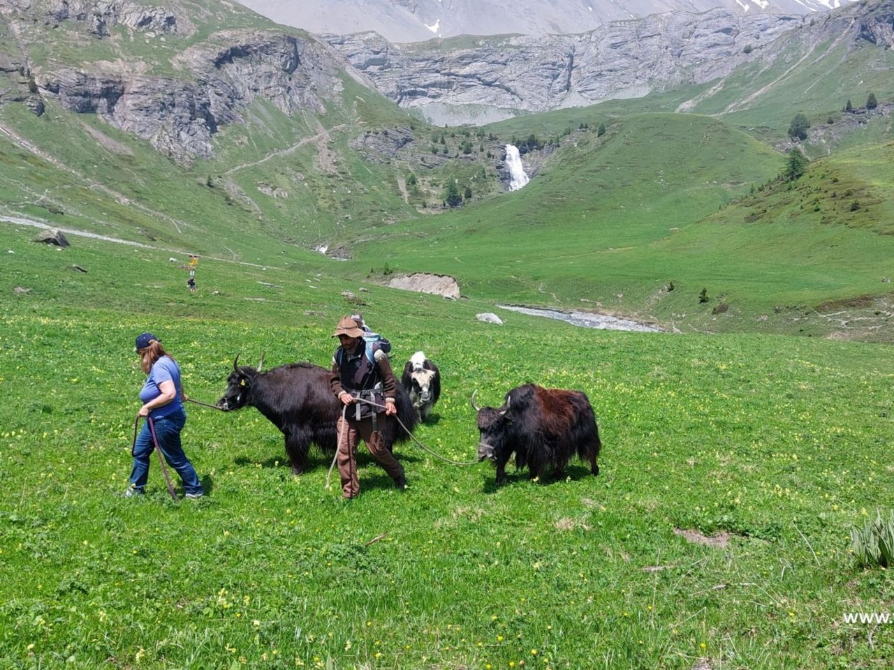 Ein Nomadenabenteuer mit Yaks zu den Wasserfällen von La Tièche