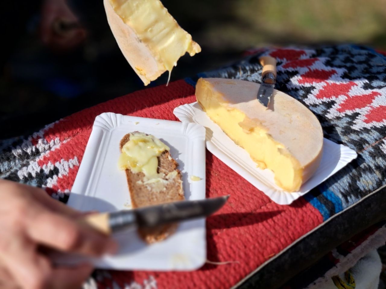 Maultiere, Natur & Raclette am Seeufer