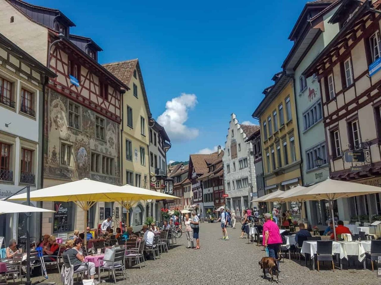 Ab Zürich: Rheinfall und Stein am Rhein private Tour