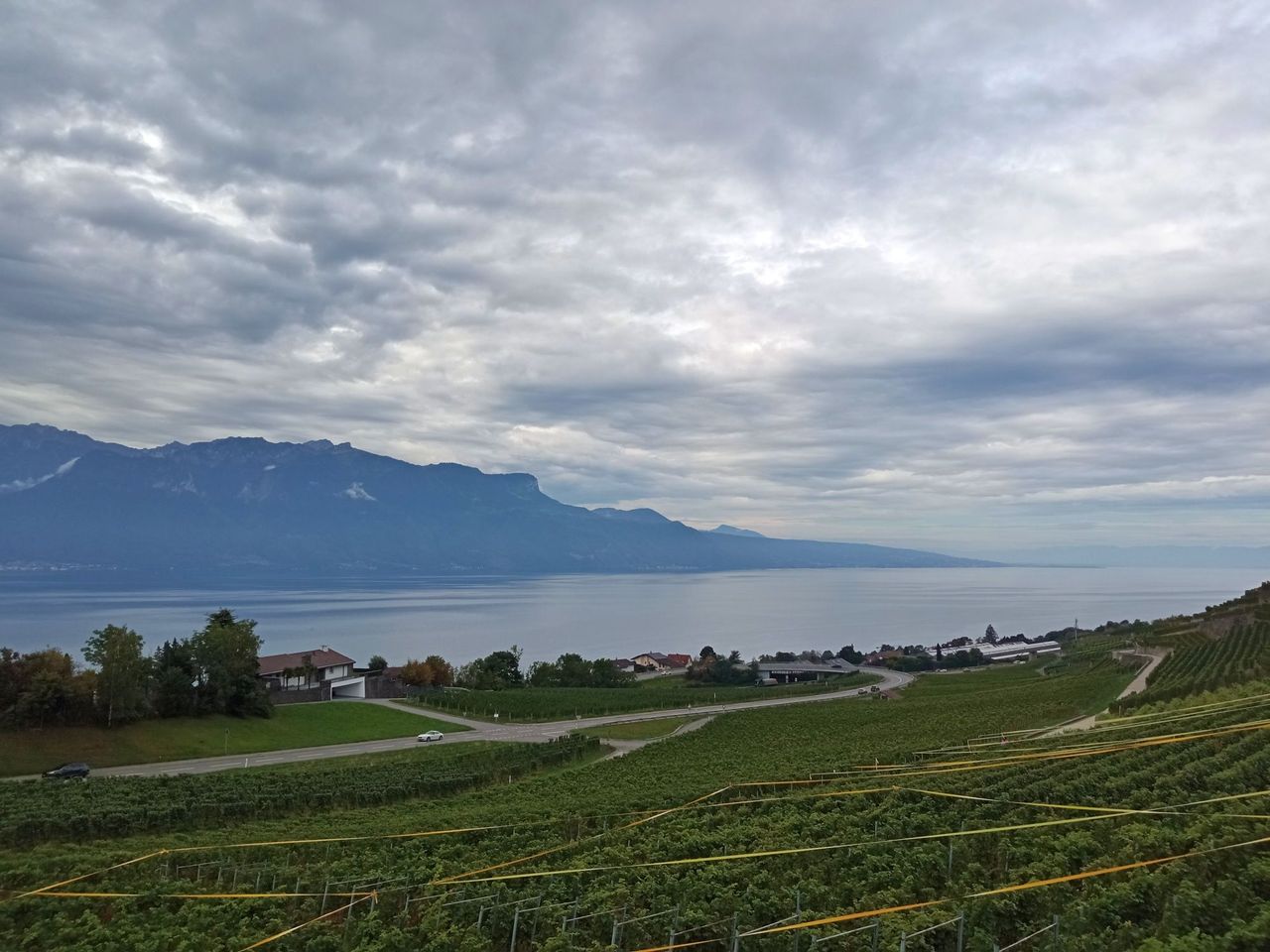 Ab Genf: Tagesausflug Weintour und Schloss Chillon