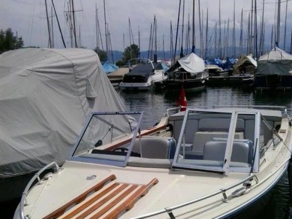 Bootsfahrt Untersee ab Mannenbach-Salenstein