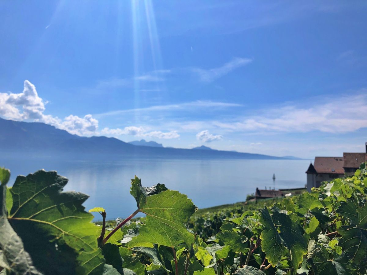 Regional Pass Léman - Alpes in the Lake Geneva-Alps Region