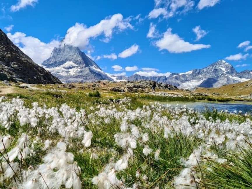 Private day hike on the Gornergrat from Zermatt