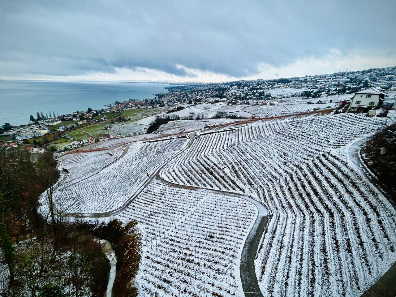 Weinwanderung Lavaux Weinberge für private Gruppen