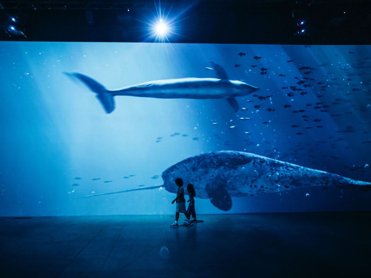Ticket “Die Legende der Titanic" immersive Ausstellung Lichthalle Maag in Zürich