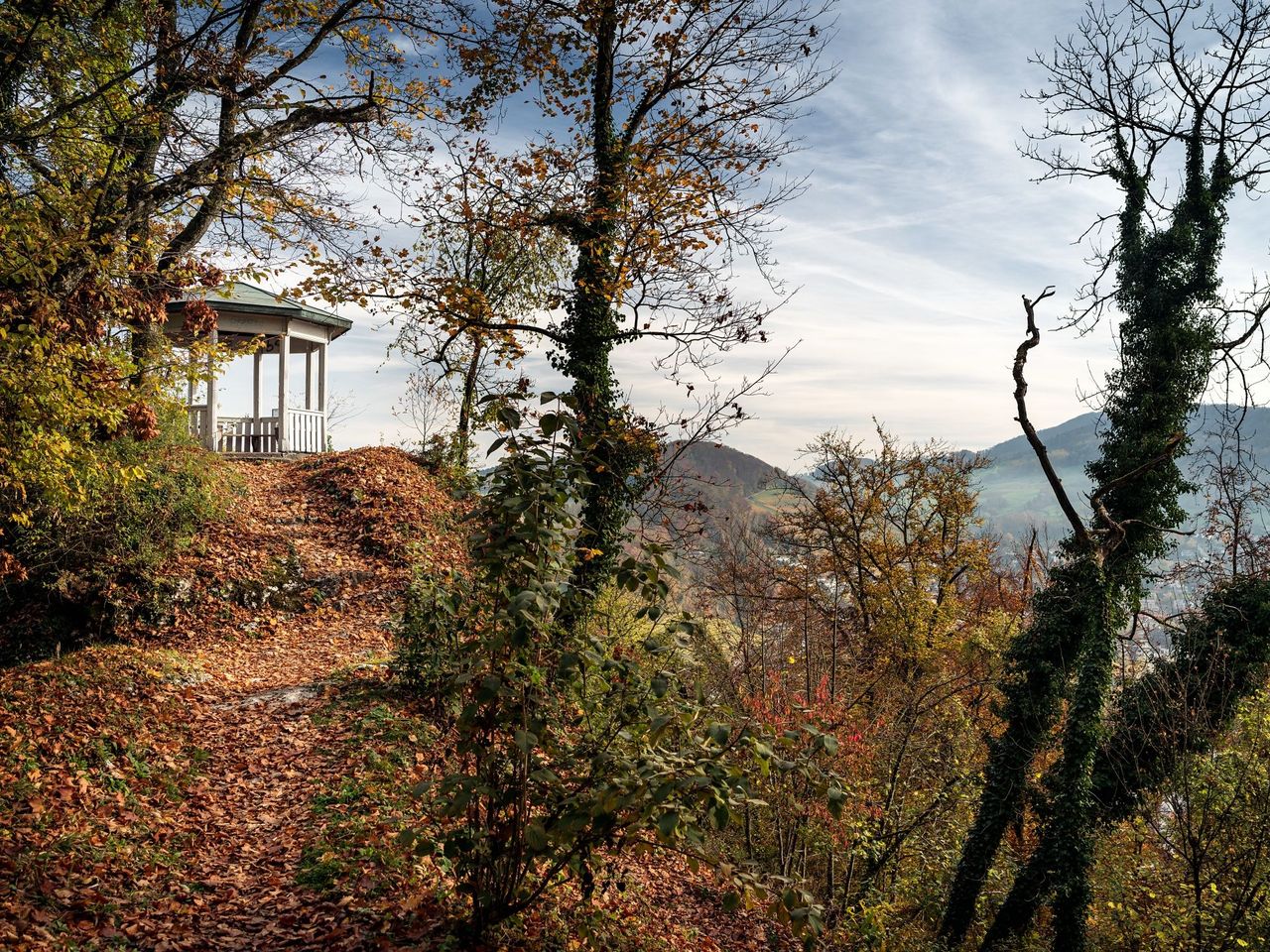 "WaldBaden" δημόσια περιήγηση στη φύση στο Baden