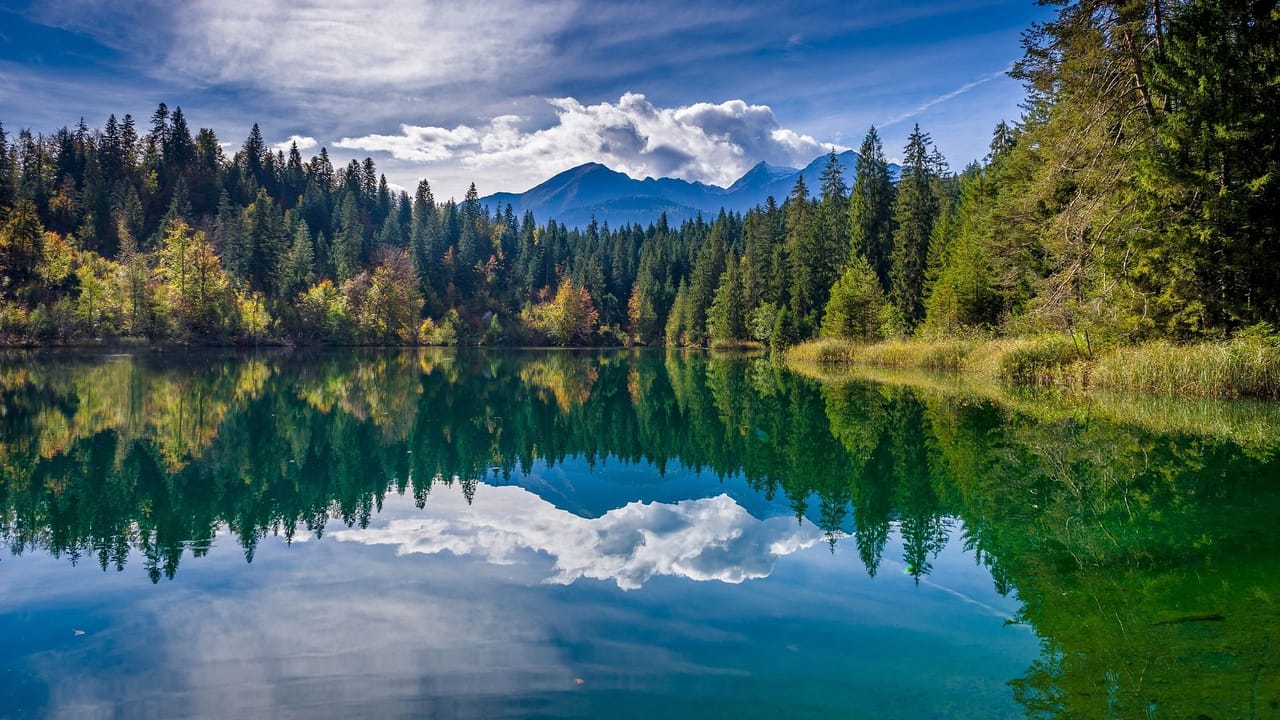 Kulinarische Wanderung “Wald und Wasser” ab Flims
