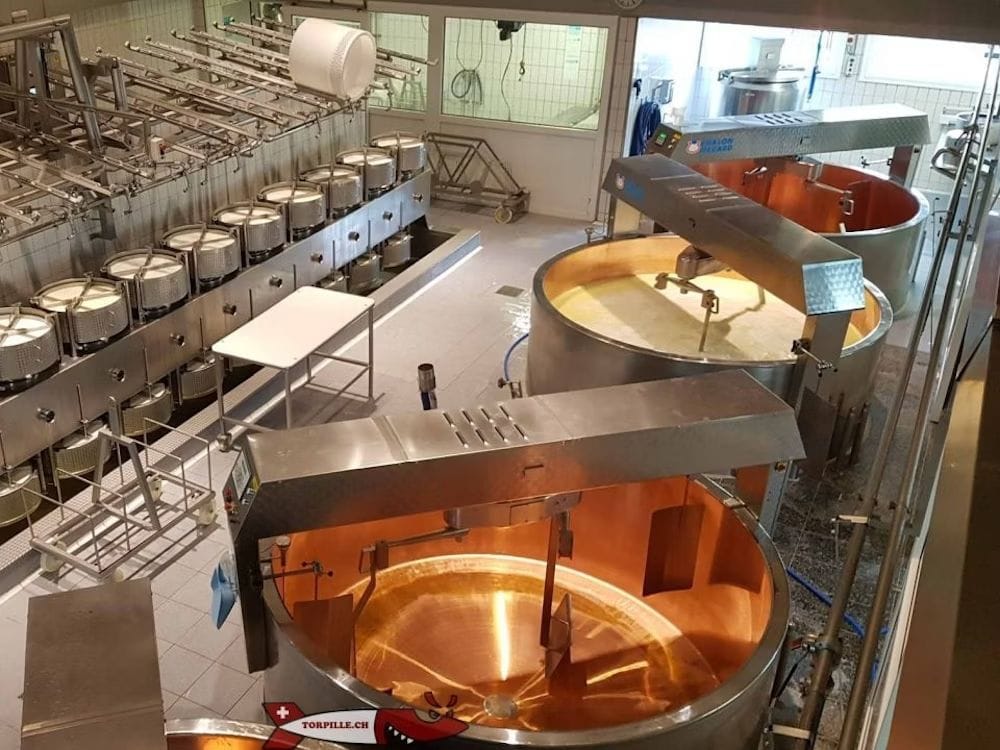 Ab Lausanne: Bustour Gruyères, Schokoladenfabrik und Schaukäserei
