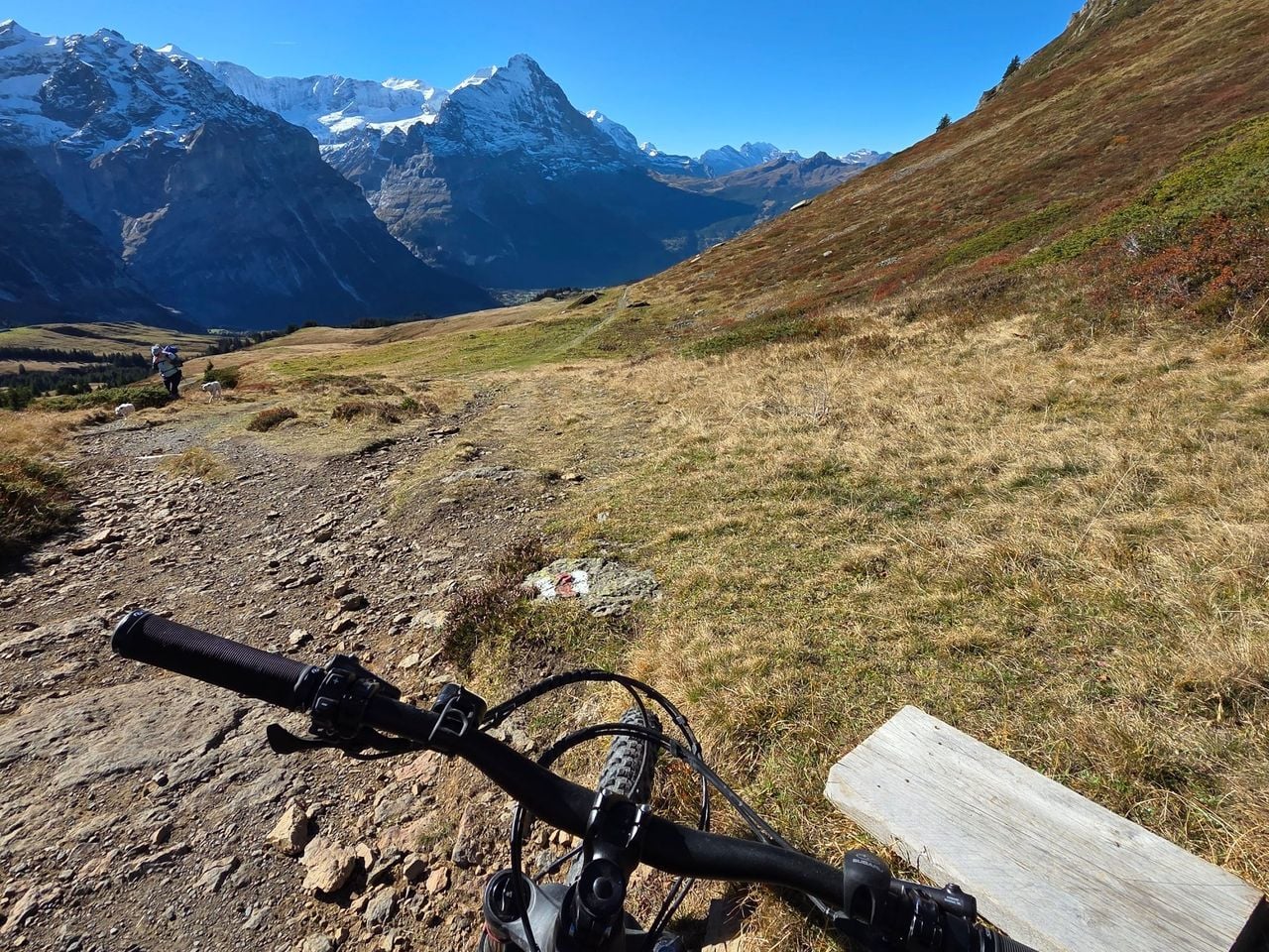 Individuelle geführte E‑Bike Tour Grindelwald