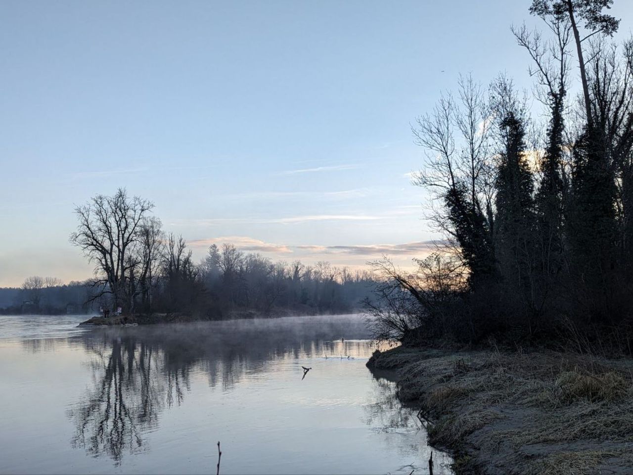 "Tracking Nature including Picnic": On the Move with Charlotte Arnswald
