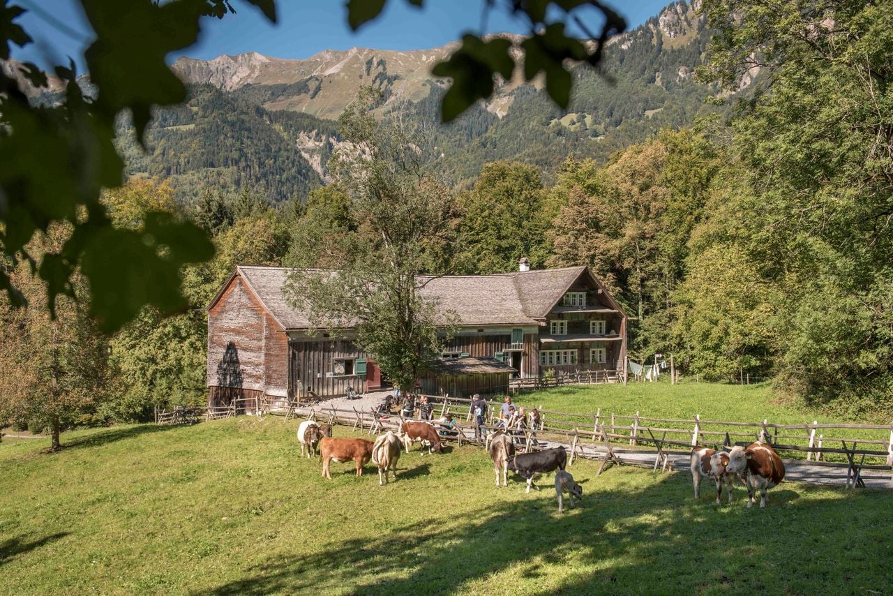 Kindergeburtstag Ballenberg