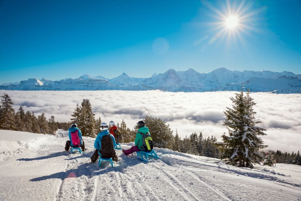 Nachtschlitteln Sternenschlitteln Niederhorn