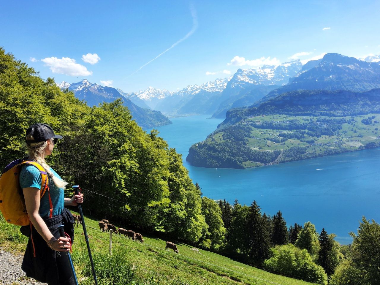 Private Aussichtstour mit Bergrestaurant am Vierwaldstättersee