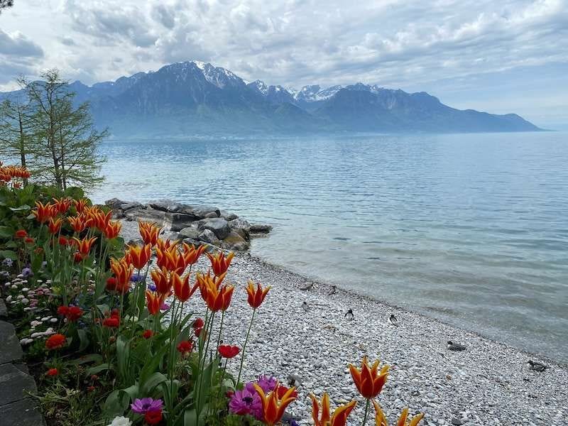 Visite privée de la vieille ville de Vevey