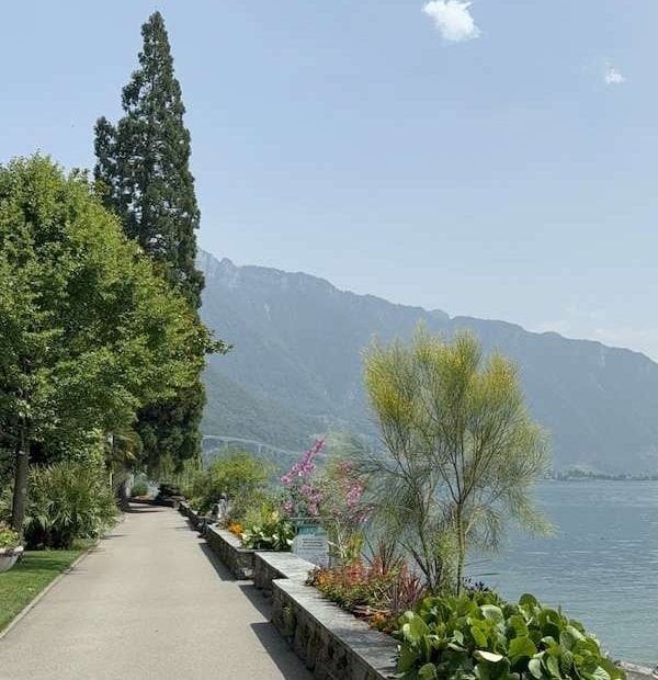 Visite guidée privée de Montreux, entre vieille ville et promenade au bord du lac