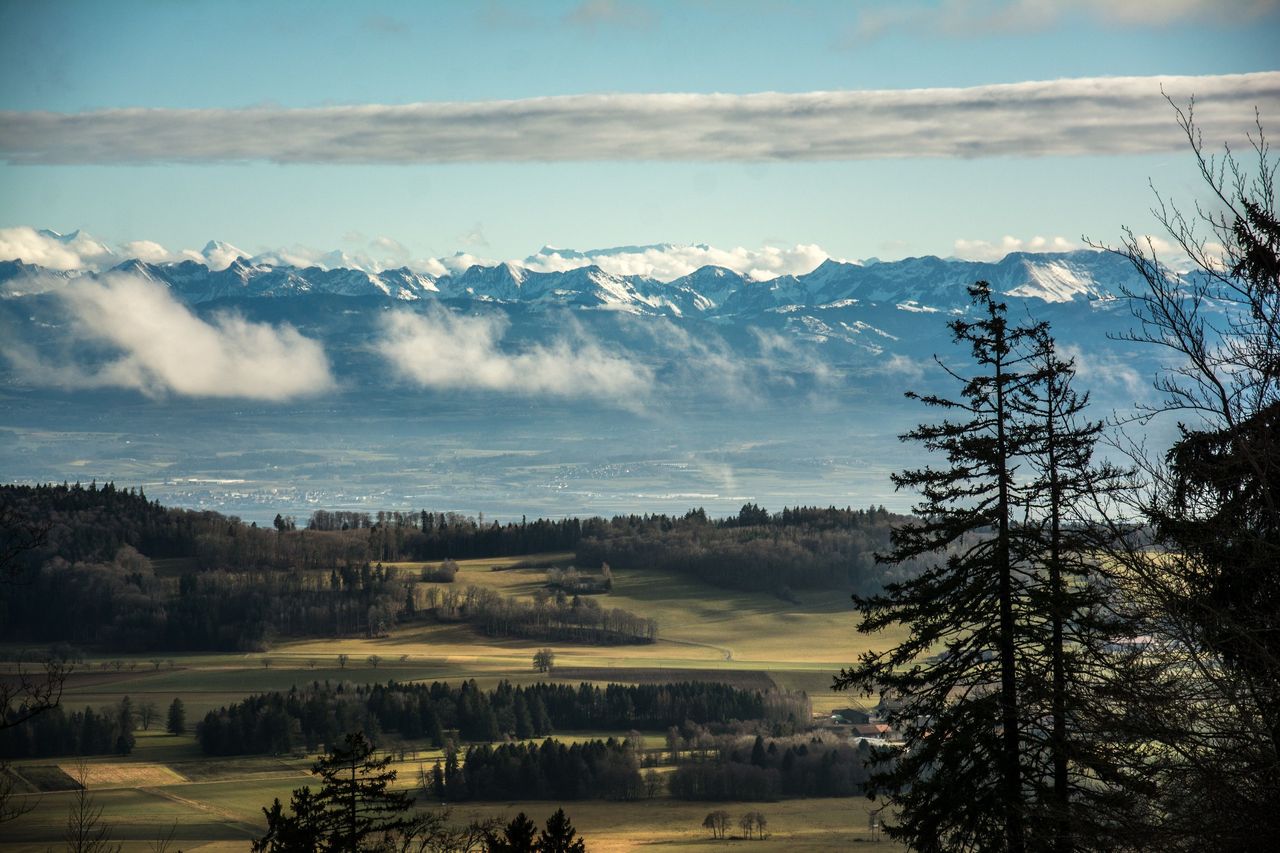 Parc Chasseral Panorama