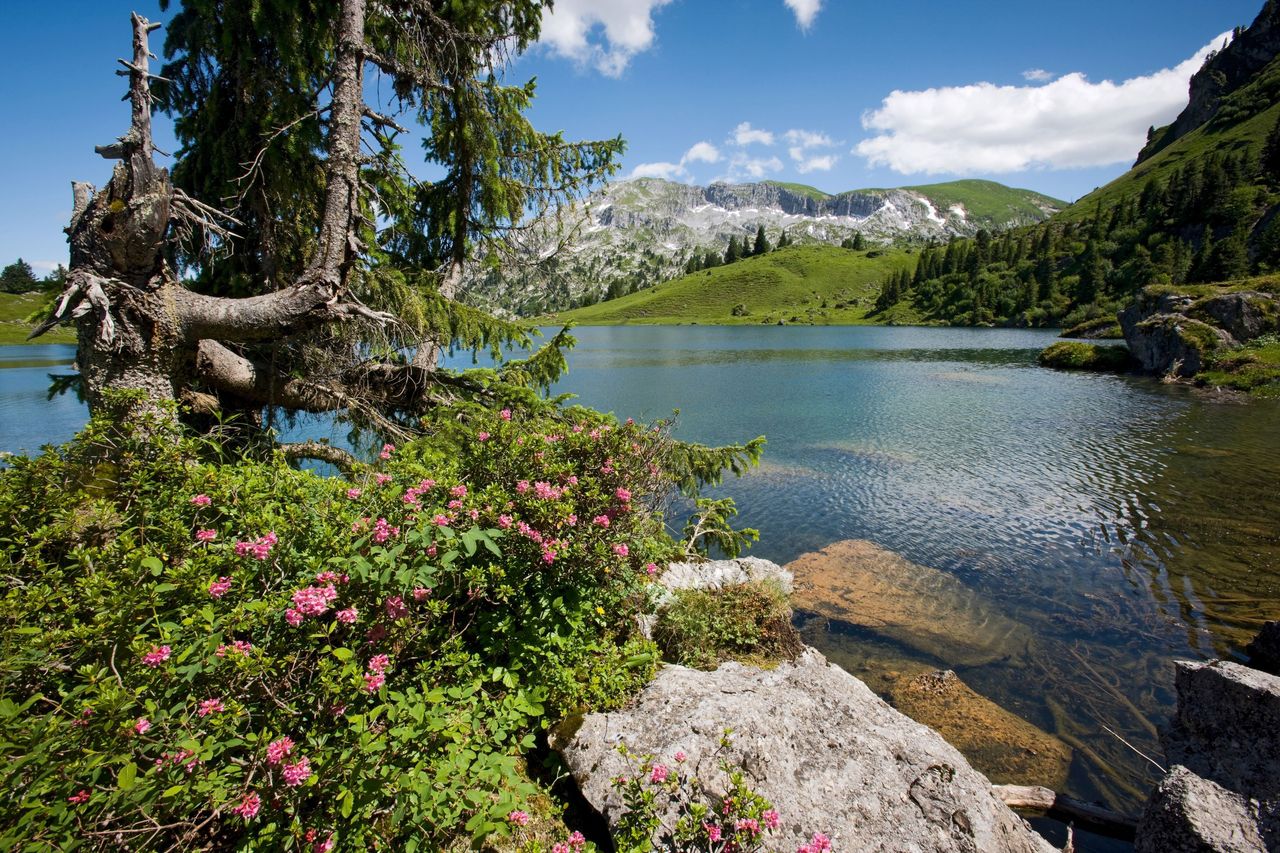 Naturpark Diemtigtal