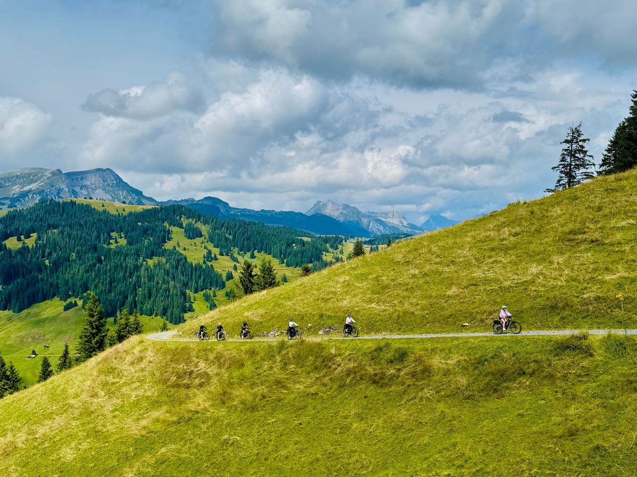 "Jungfrauregion und Käsedegustation" - Private E-Bike-Tour ab Interlaken