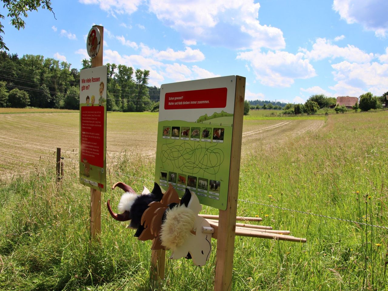 Erlebnisweg “Lea und Ben bei den Mutterkühen” in Freienstein (ZH)