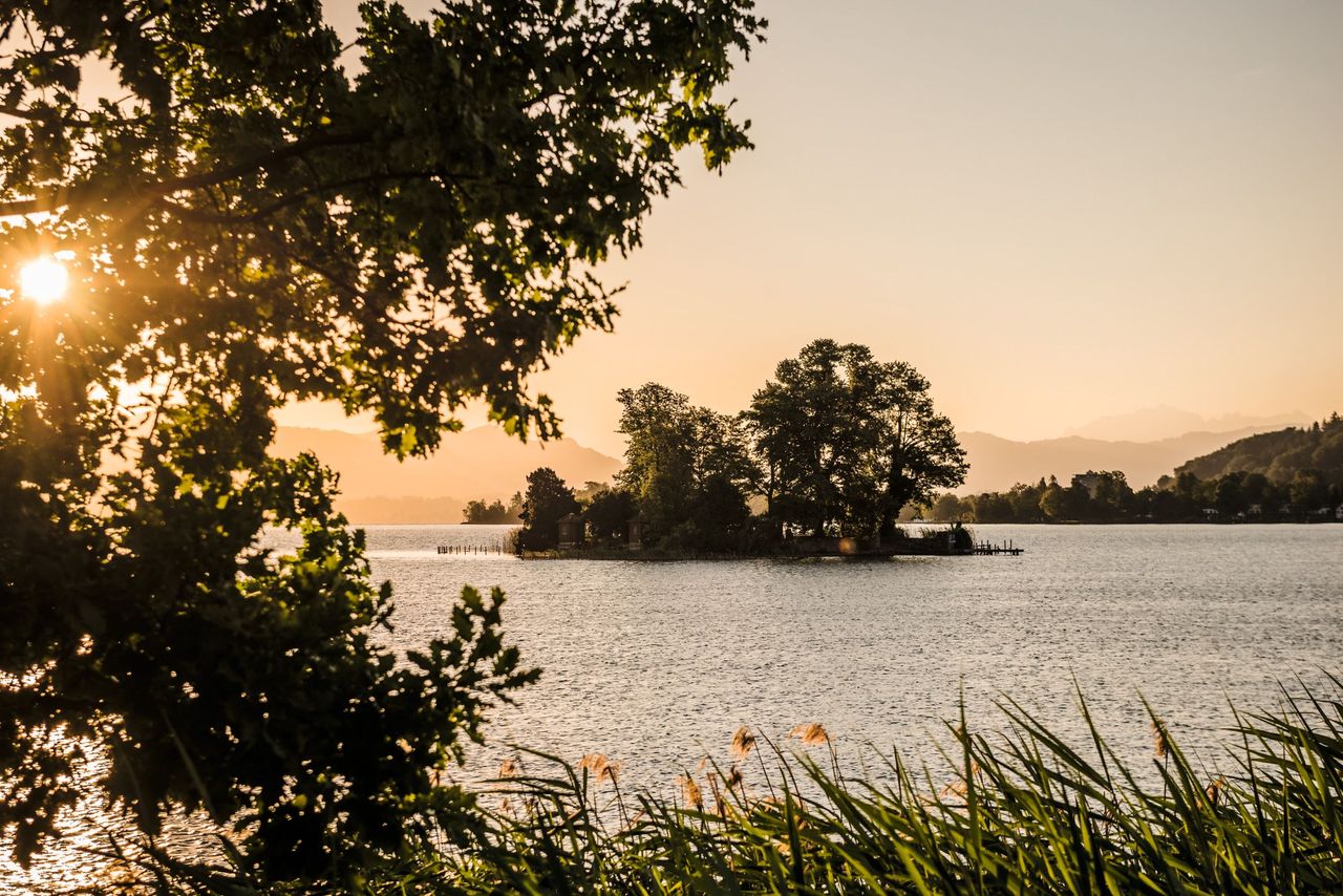 Insel Richterswil