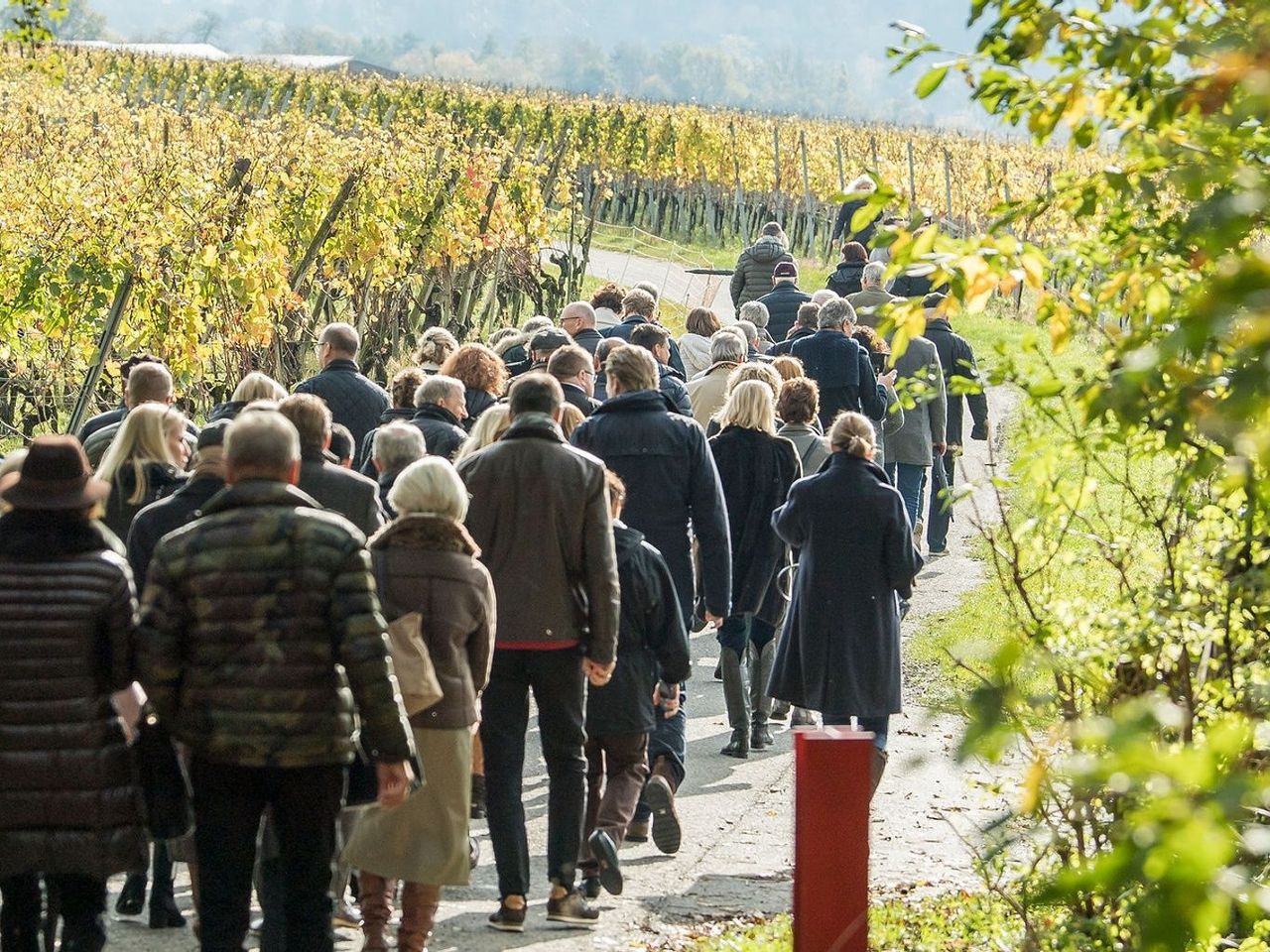 Weintour für grosse Gruppen