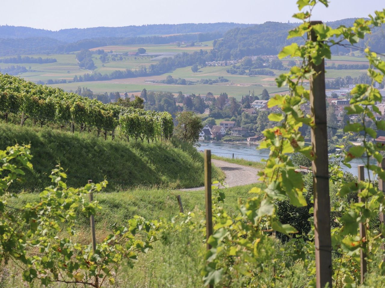 Weinwanderung Stein am Rhein selbstgeführt