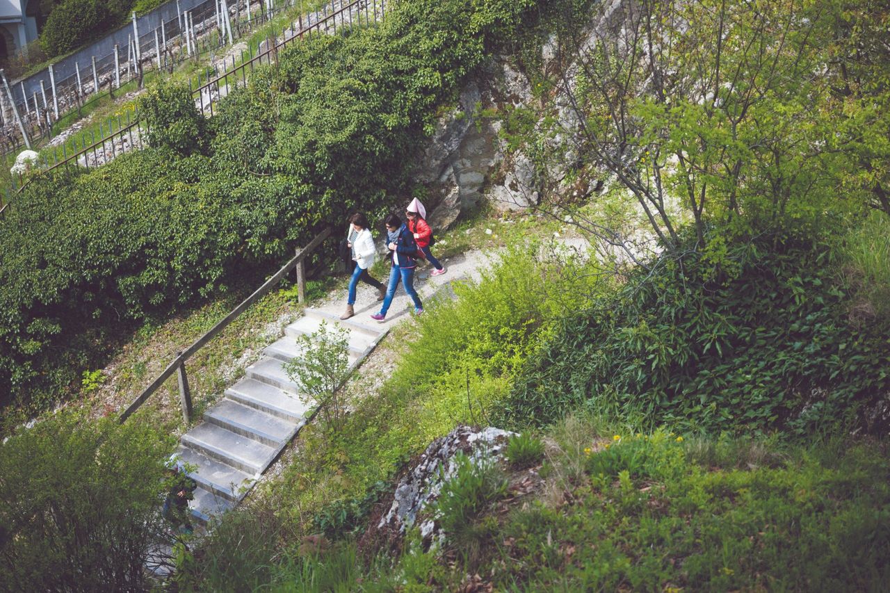 Visita guidata pubblica per bambini alle rovine del castello di Stein a Baden